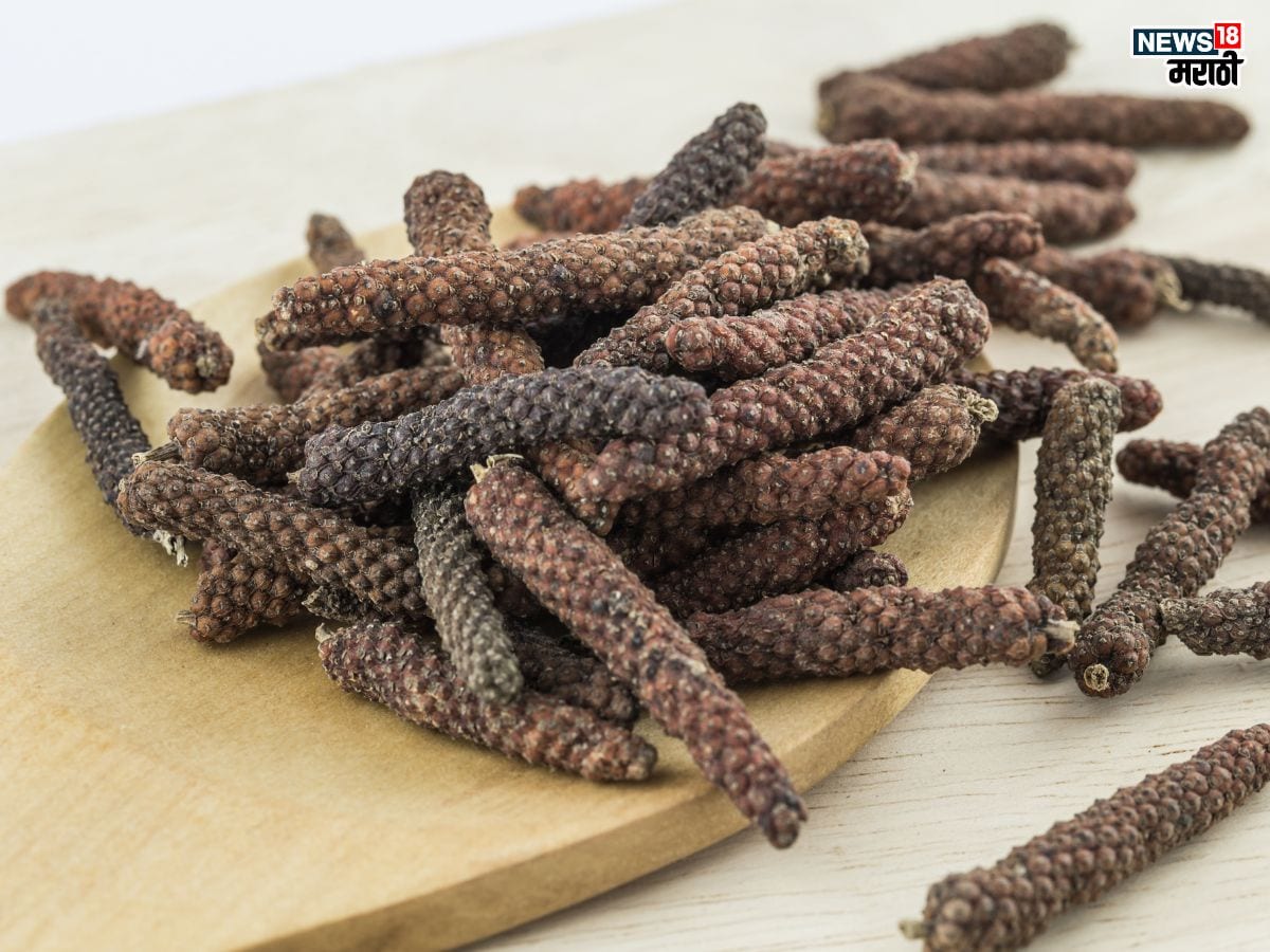 Health Benefits of Pippali in Marathi: इतक्या आजारांवर गुणकारी आहे पिप्पली, एकदा खाल्ल्याने होतील ‘इतके’ फायदे