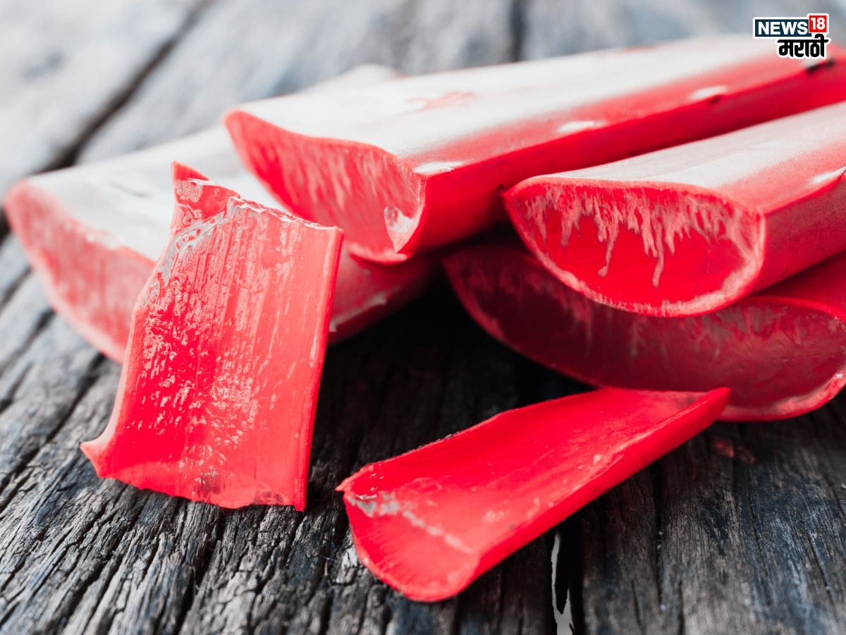 Health benefits of Red Aloe Vera in Marathi : कधी पाहिलीये ‘या’ रंगाची कोरफड ? नियमित खाल्ल्याने होतील दुप्पट फायदे