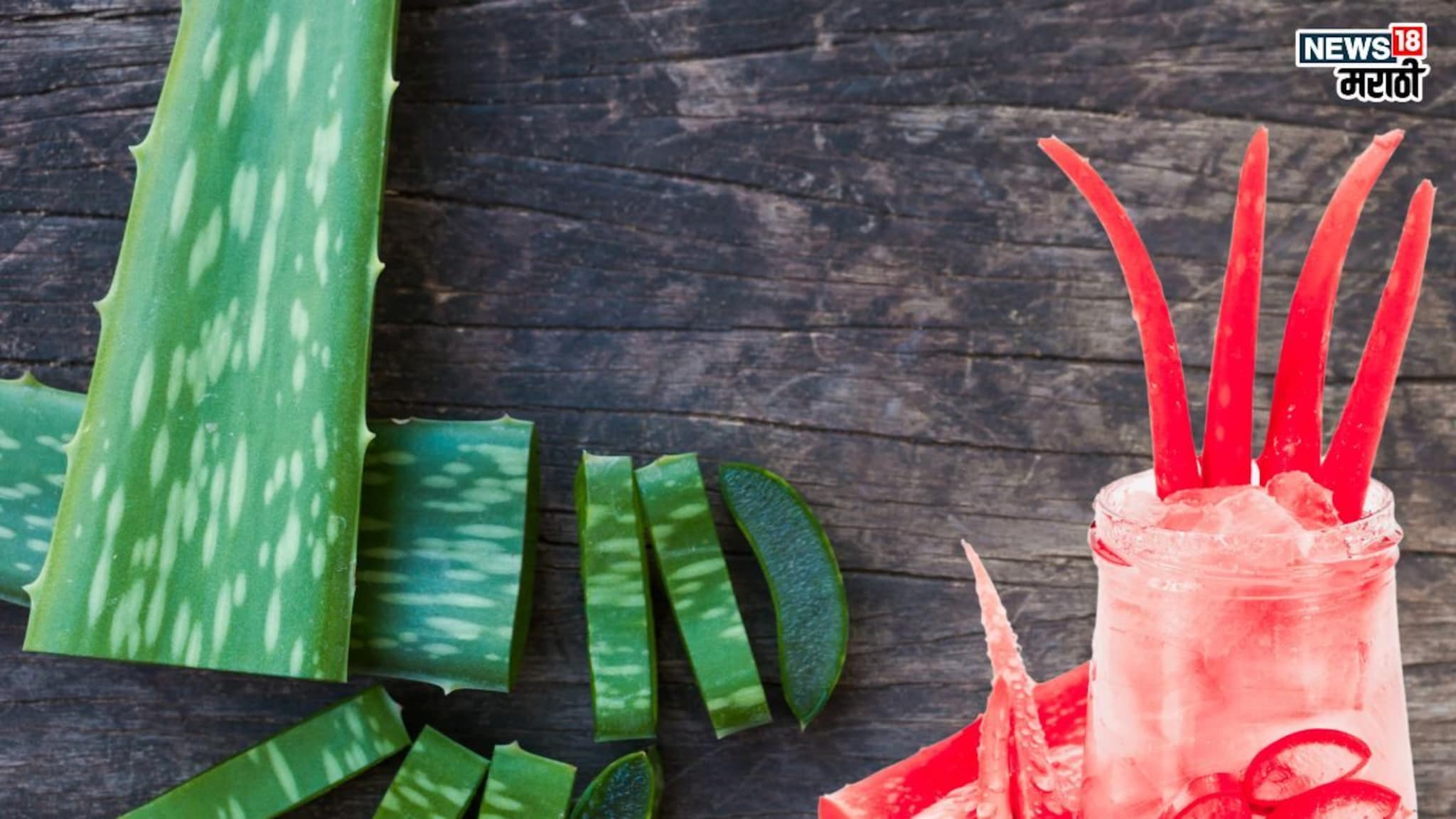 Red Aloe Vera Benefits: कधी पाहिलीये ‘या’ रंगाची कोरफड? नियमित खाल्ल्याने होतील दुप्पट फायदे