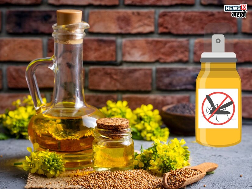 मोहरीचं तेल डास आणि किटकांना पळवून लावण्यासाठीही फायद्याच ठरतं. मोहरीच्या तेलाच्या वासाने एडीज एल्बोपिक्टस प्रकारातले डार दूर पळतात. त्यामुळे मोहरीचं तेल हे नैसर्गिक किटकनाशक ठरतं.