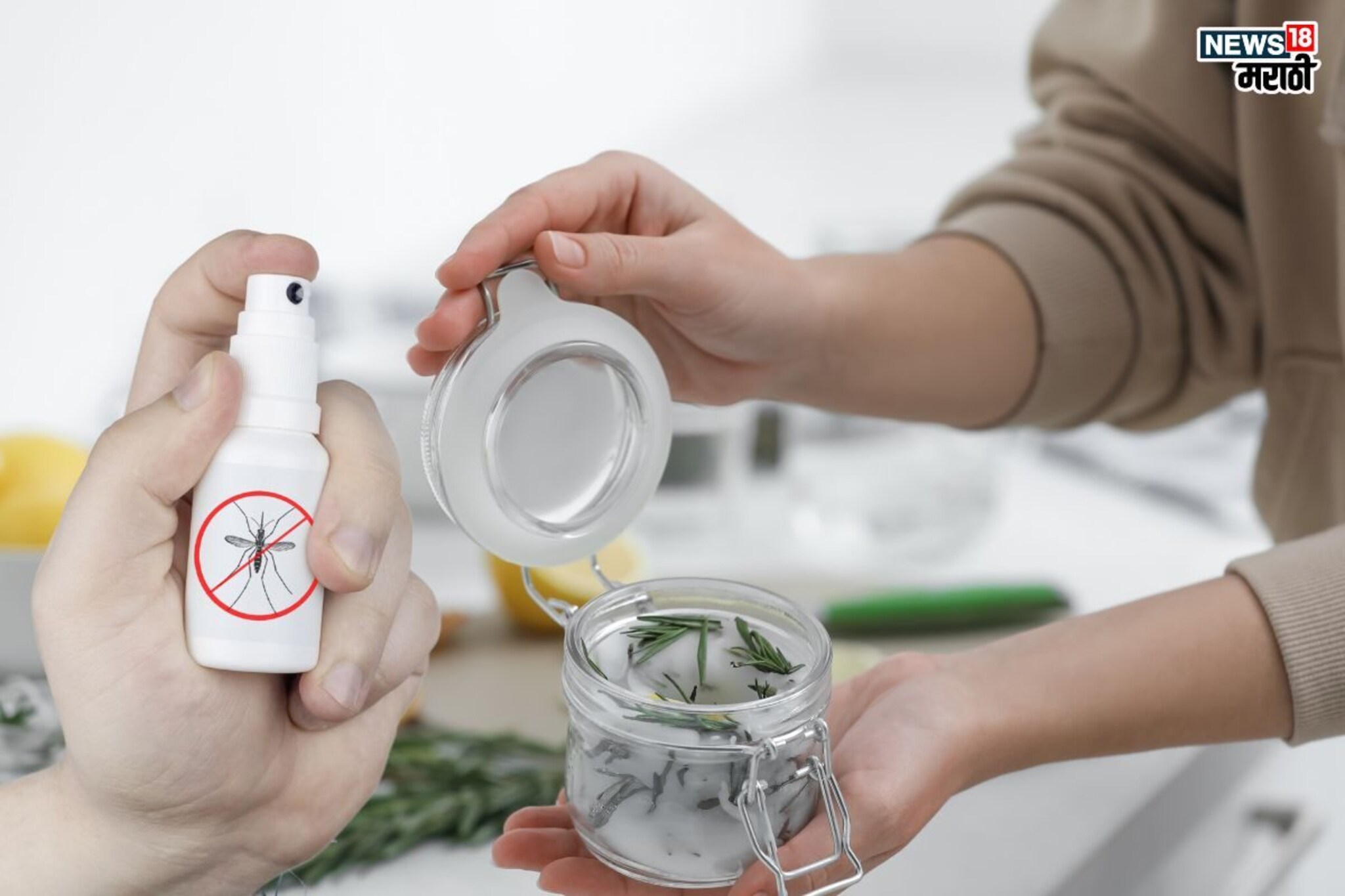 Homemade mosquito repellents: डासांचा त्रास होतोय? करा ‘हे’ सोपे घरगुती उपाय