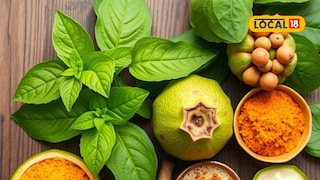 Indian Medicinal Herbs Indian Medicinal Herbs