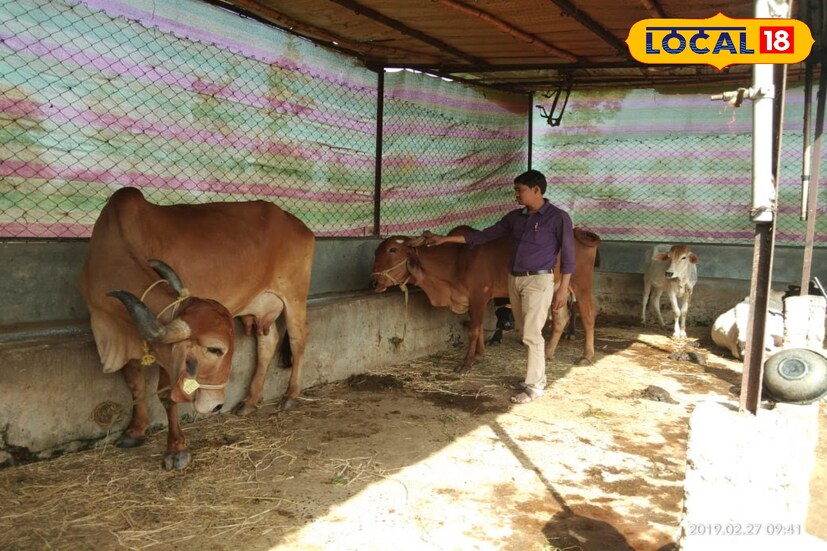 नागपूरला आम्ही कंपनीच्या नावाने छोटे दुकान भाडेतत्त्वावर घेतले आहे. तिथे दोन कर्मचारी नियुक्त करून दिले आहे. ते ऑर्डर घेऊन ग्राहकांना प्रॉडक्ट पुरवतात. ॲमेझॉनवर सुद्धा आमच्या कंपनीची उत्पादने मिळतात. दुसऱ्याकडे नोकरी न करता स्वतःच्या व्यवसायात लक्ष घालून आज आम्ही 18 लोकांना वर्षभरासाठी रोजगार दिलाय. कमी काळातच आमच्या या व्यवसायाची वार्षिक उलाढाल 6 कोटीपर्यंत गेली आहे, असेही रवी आणि पवन सांगतात. 