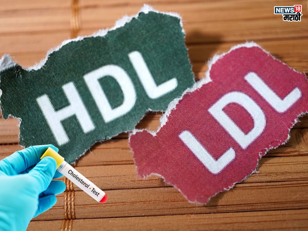 What is Good (HDL) & Bad (LDL) Cholesterol: वजन वाढलंय ? छातीतही दुखतंय ? असू शकतो हा आजार आजच करून घ्या तपासणी