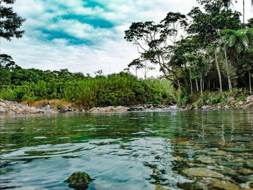 इतकी मोठी नदी तब्बल 9 देशांमधून वाहते. पण एका देशाने या नदीवर पूल बांधला नाही. यामागे असं काय कारण आहे, असा प्रश्न पडतोच.