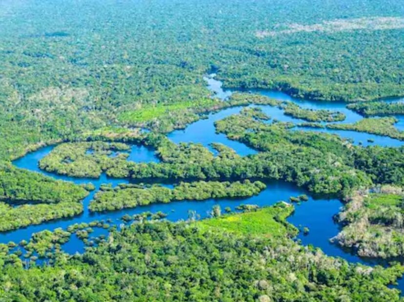 ही नदी दक्षिण अमेरिकेतल्या अनेक देशांमधून जाते. यात ब्राझील, बोलिविया, पेरू, इक्वेडोर, कोलंबिया, वेनेझुएला, गयाना, फ्रेंच गयाना और सूरीनाम या देशांचा समावेश आहे. दक्षिण अमेरिकेचा 40 टक्के भाग या नदीने घेरलेला आहे.