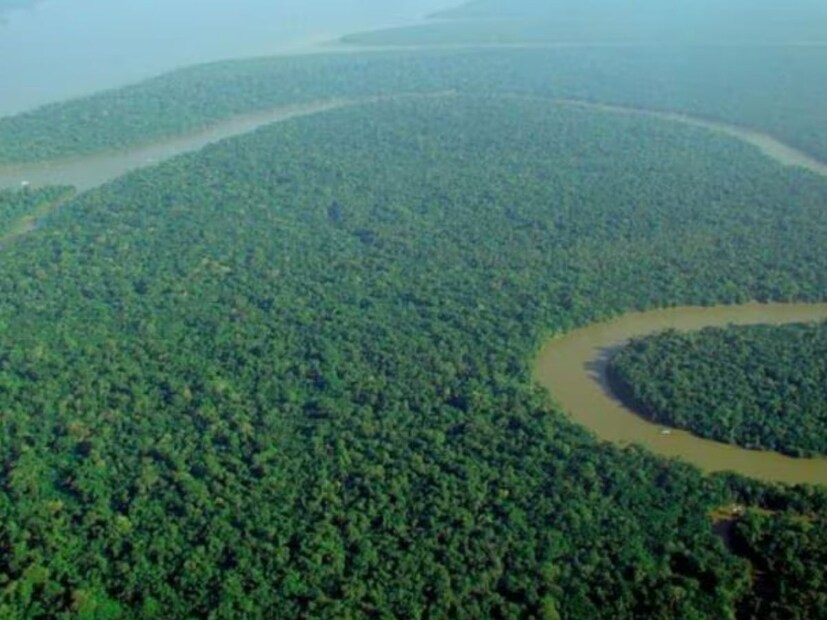 इतक्या देशांमधून ही नदी जाते पण कुणीच यावर ब्रीज बांधू शकला नाही. यामागील कारण म्हणजे नदीची लांबी, नदीकिनाऱ्यावरील माती, घनदाट जंगल, पूरक्षेत्र भाग, तसंच नदी वारंवार आपला मार्ग बदलते.