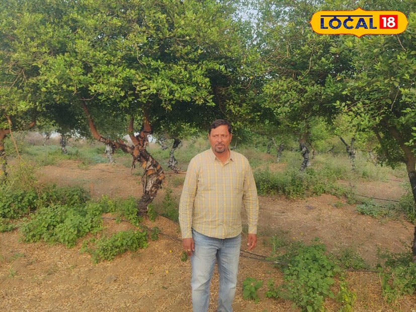 सध्याच्या काळात शेती परवडत नाही हे अनेकांचं मत असतं. परंतु, आधुनिक पद्धतीनं शेती केल्यास चांगलं उत्पन्न घेता येतं हे काही शेतकऱ्यांनी सिद्ध करून दाखवलंय. यापैकीच एक यवतमाळमधील पांढरकवडाचे शेतकरी कृष्णराव देशट्टीवर हे आहेत. आपल्या जिद्दीने आणि मेहनतीने त्यांनी शेती व्यवसायात मोठे साम्राज्य उभे केले आहे. सध्याच्या काळात शेती परवडत नाही हे अनेकांचं मत असतं. परंतु, आधुनिक पद्धतीनं शेती केल्यास चांगलं उत्पन्न घेता येतं हे काही शेतकऱ्यांनी सिद्ध करून दाखवलंय. यापैकीच एक यवतमाळमधील पांढरकवडाचे शेतकरी कृष्णराव देशट्टीवर हे आहेत. आपल्या जिद्दीने आणि मेहनतीने त्यांनी शेती व्यवसायात मोठे साम्राज्य उभे केले आहे.