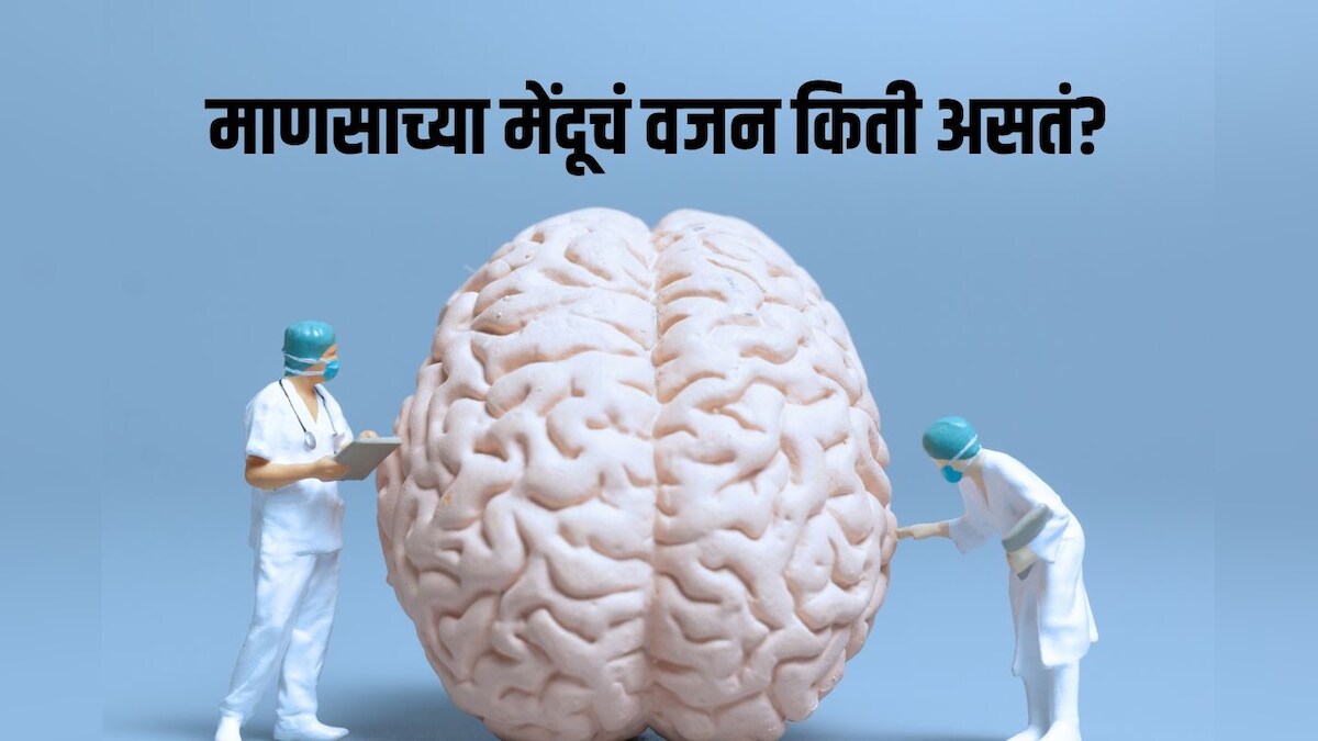 General Knowledge General knowledge