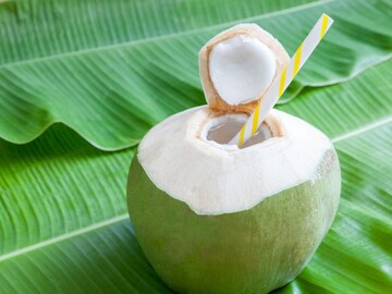 'नारळपाणी म्हणजे अमृत' हा गैरसमज, 'या' लोकांसाठी ठरू शकतं जिवघेणं