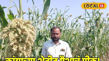 कांद्याच्या