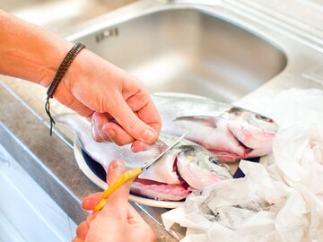 Fish : माशातील सगळ्यात पौष्टीक भाग कोणता?