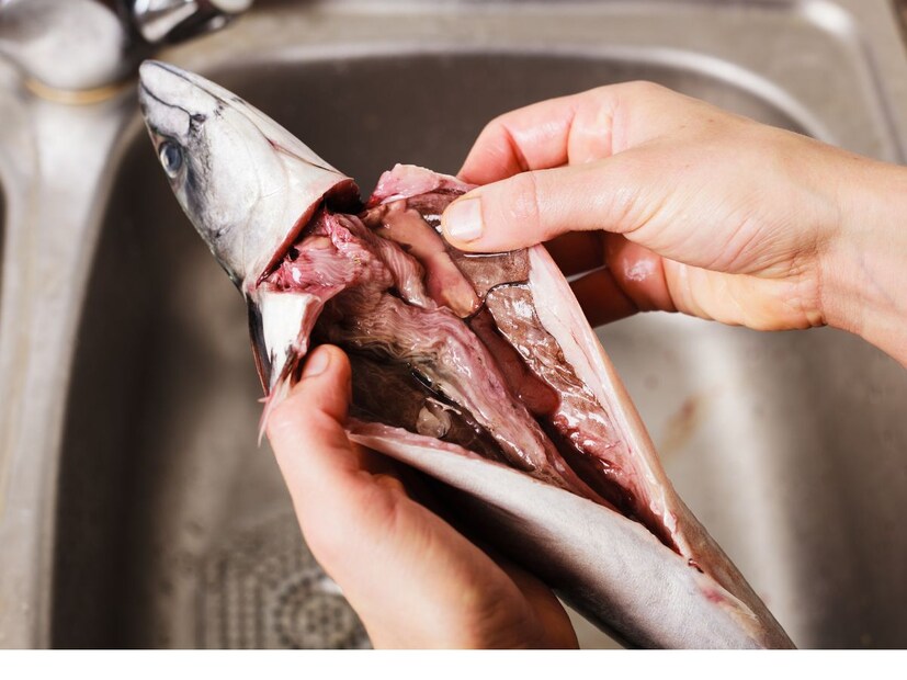 माशाचं ब्लॅडर : पारंपारिक प्राचीन औषधांमध्ये माशाच्या ब्लॅडरला खूप महत्त्वं आहे.  यात जिलेटिन, लिपिड, शुगर आणि व्हिटॅमिन असे घटक असतात. पारंपारिक मेडिसीनुसार फिश ब्लॅडर रक्त चांगलं, किडनी मजबूत ठेवतं. गुडघ्याचे सांधे आणि कमरेसाठी चांगलं. नव्या संशोधनानुसार फिश ब्लॅडरमध्ये कोलेजन असतं जे मानवी टिश्यु सेल्स सुधारतं आणि त्वचा वृद्ध होण्याची प्रक्रिया मंदावते.