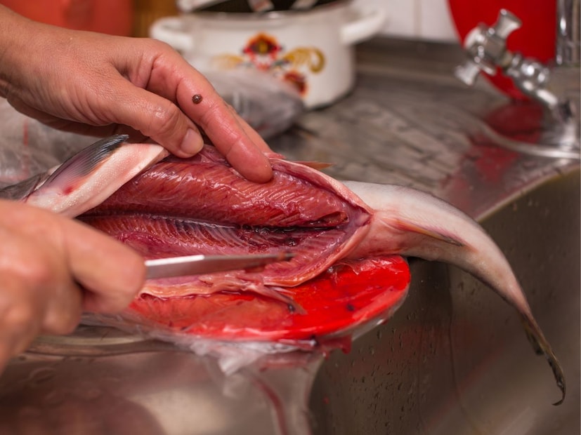 फिश लिव्हर : फिश लिव्हरमध्ये भरपूर प्रोटिन आणि अनसॅच्युरेडेट फॅट असतं जे आरोग्यासाठी चांगलं असतं. यातील कोलेस्ट्रॉलही चांगलं असतं. याची चवही चांगली असते.