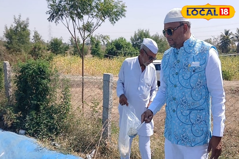 उत्तर सोलापूर तालुक्यातील नान्नज येथील हाजी बशीर अहमद शेख हे एक फार्मासिस्ट आहेत. नान्नज येथेच त्यांची थोडी शेती आहे. 