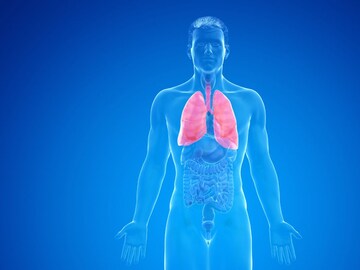 शरीराच्या कोणत्या अवयवात रक्त नसतं? अनेकांना याचं उत्तर माहितच नसणार