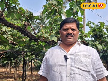 माजी सैनिकाची द्राक्षांची शेती, विक्रमी दर, पण हातात काय? सगळा हिशोबच मांडला! माजी सैनिकाची द्राक्षांची शेती, विक्रमी दर, पण हातात काय? सगळा हिशोबच मांडला!