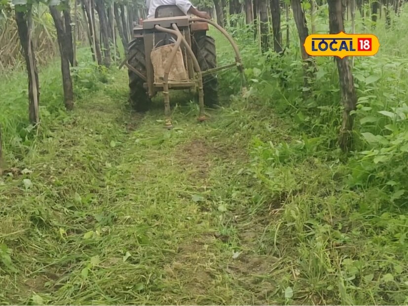 शेतकरी इंजिनियर पुत्राने तयार केलेले ग्रास कटर जुगाडाला बागायतदारांचा चांगला प्रतिसाद आहे. हे जुगाड लोकांचा खात्रीत उतरले असून आजवर जवळपास 70 मशीन विकल्या आहेत. मशीन खरेदी केलेले सर्व बागायतदार भांगलन खर्चात बचत झाल्याबद्दल समाधानी आहेत. एक ग्रास कटर तयार करण्यासाठी माळी पिता-पुत्रांना 40 ते 45 हजार रुपये खर्च येतो. शेतकरी मित्रांच्या मागणीनुसार ते ग्रास कटर बनवून देतात. वडिलांच्या सल्ल्याने इंजिनिअरिंगच्या शिक्षणाचा आधार देत शेतकरी पुत्राने बनवलेल्या ग्रास कटर जुगाडाचे शेतकऱ्यांकडून कौतुक होत आहे. शेतातील भांगलनीचा खर्च, वेळ आणि व्यापामध्ये बचत करणारे ग्रास कटर जुगाड मातीच्या आरोग्यासाठी देखील अत्यंत उपयोगी ठरत आहे.