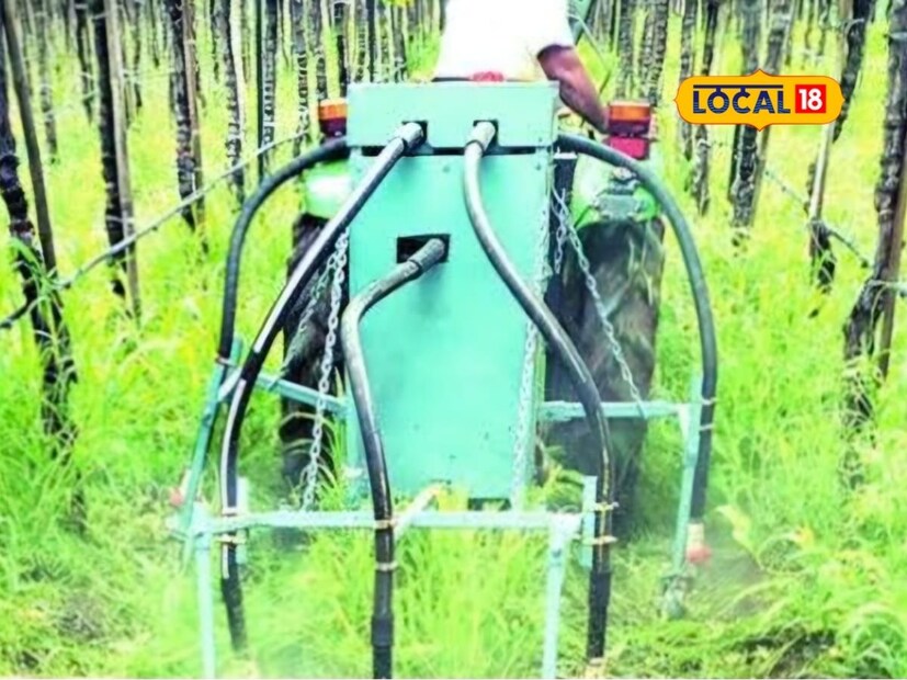 शेतकरी पुत्र राहुल माळी हे एम.टेक इंजिनियर आहेत. मात्र ते वडिलांसोबत 25 एकर शेतीचे व्यवस्थापन पाहतात. द्राक्ष बागायतदारांना द्राक्ष हंगामानंतर दोन महिने मिळणाऱ्या विश्रांतीच्या काळात माळी पिता-पुत्र प्रत्येक वर्षी काही ना काही जुगाड करतात. याच जुगाडाच्या छंदातून त्यांनी 3 वर्ष ग्रास कटर मशीन वरती काम करून शेतातील तण काढणीचे टेन्शन कायमचे गायब केले आहे.