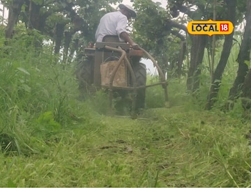 तण काढणीचं टेन्शन होणार गायब, शेतकरी पुत्रानं बनवलं अनोखे जुगाड, खर्चातही बचत तण काढणीचं टेन्शन होणार गायब, शेतकरी पुत्रानं बनवलं अनोखे जुगाड, खर्चातही बचत