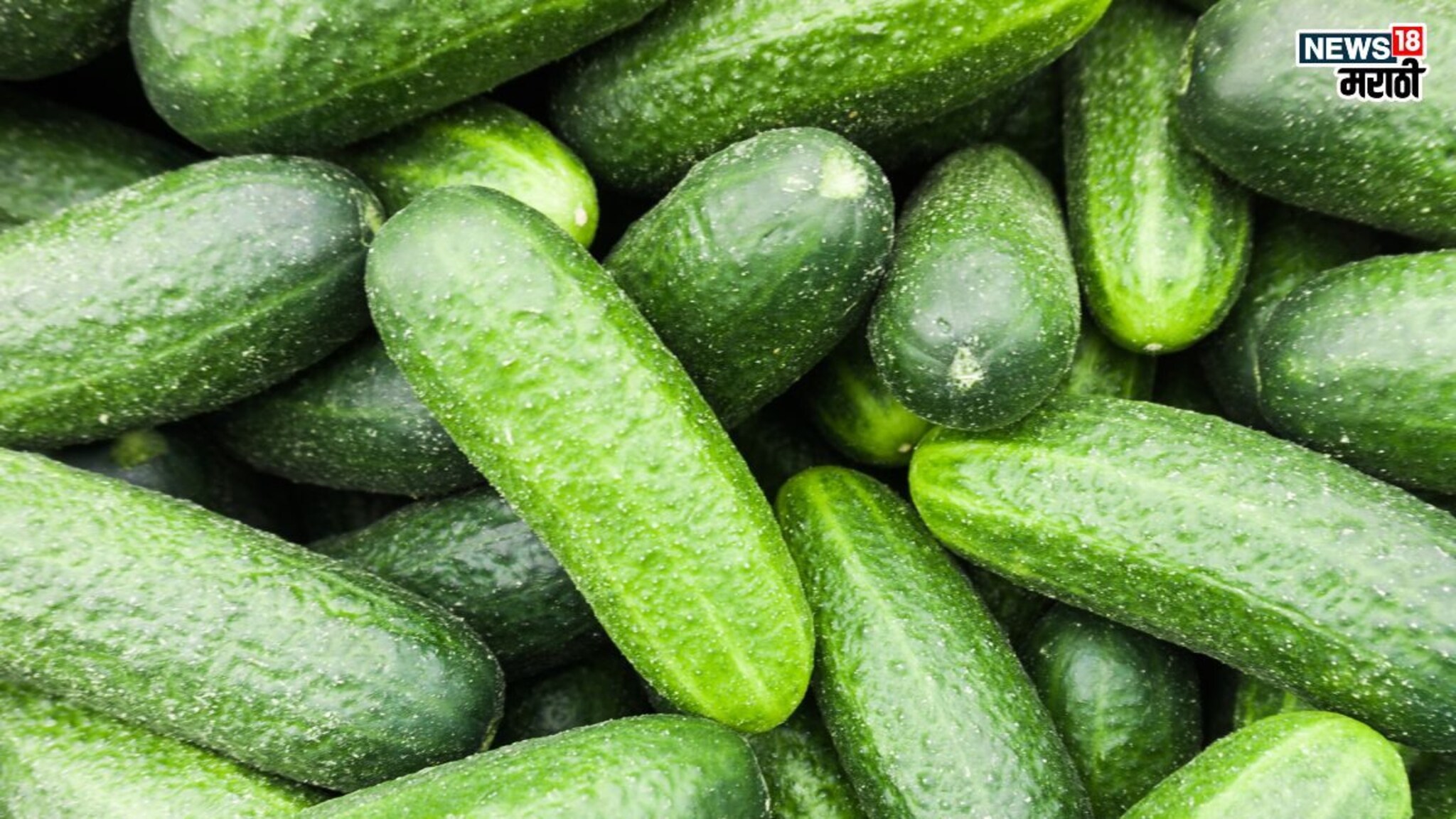 Cucumber health benefits: आला उन्हाळा, तब्येत सांभाळा, उन्हाळ्यासाठी फायद्याचा ठरेल ‘हा’ हिरवागार पदार्थ