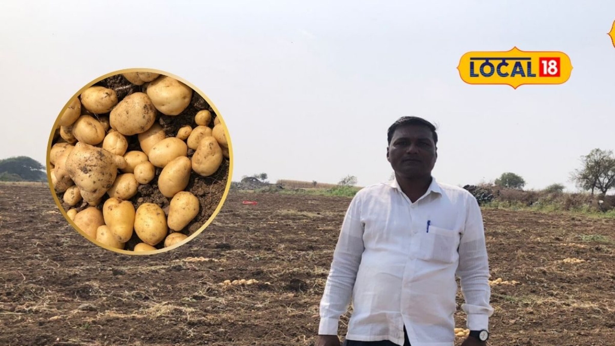 खडकाळ शेत जमिनीत केली बटाटे लागवड, एकरी घेतलं 100 क्विंटल उत्पन्न, नियोजन पाहाच