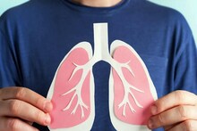 Lungs Day : शरीराच्या संकेतांकडे लक्ष द्या, जागतिक फुफ्फुस दिनानिमित्तानं फुफ्फुसांच्या आरोग्यासाठी महत्त्वाच्या टिप्स