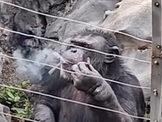 Viral VIdeo Viral VIdeo