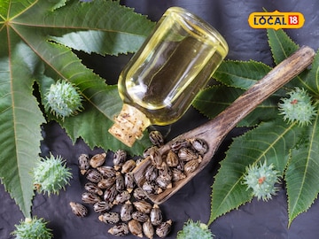 या वनस्पतीचे तेल आरोग्यासाठी गुणकारी! पोटापासून केसांपर्यंतच्या समस्या होतात दूर