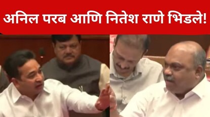 विधान परिषदेत राडा, अनिल परब आणि नितेश राणे भिडले, एकमेकांचं सगळंच ...