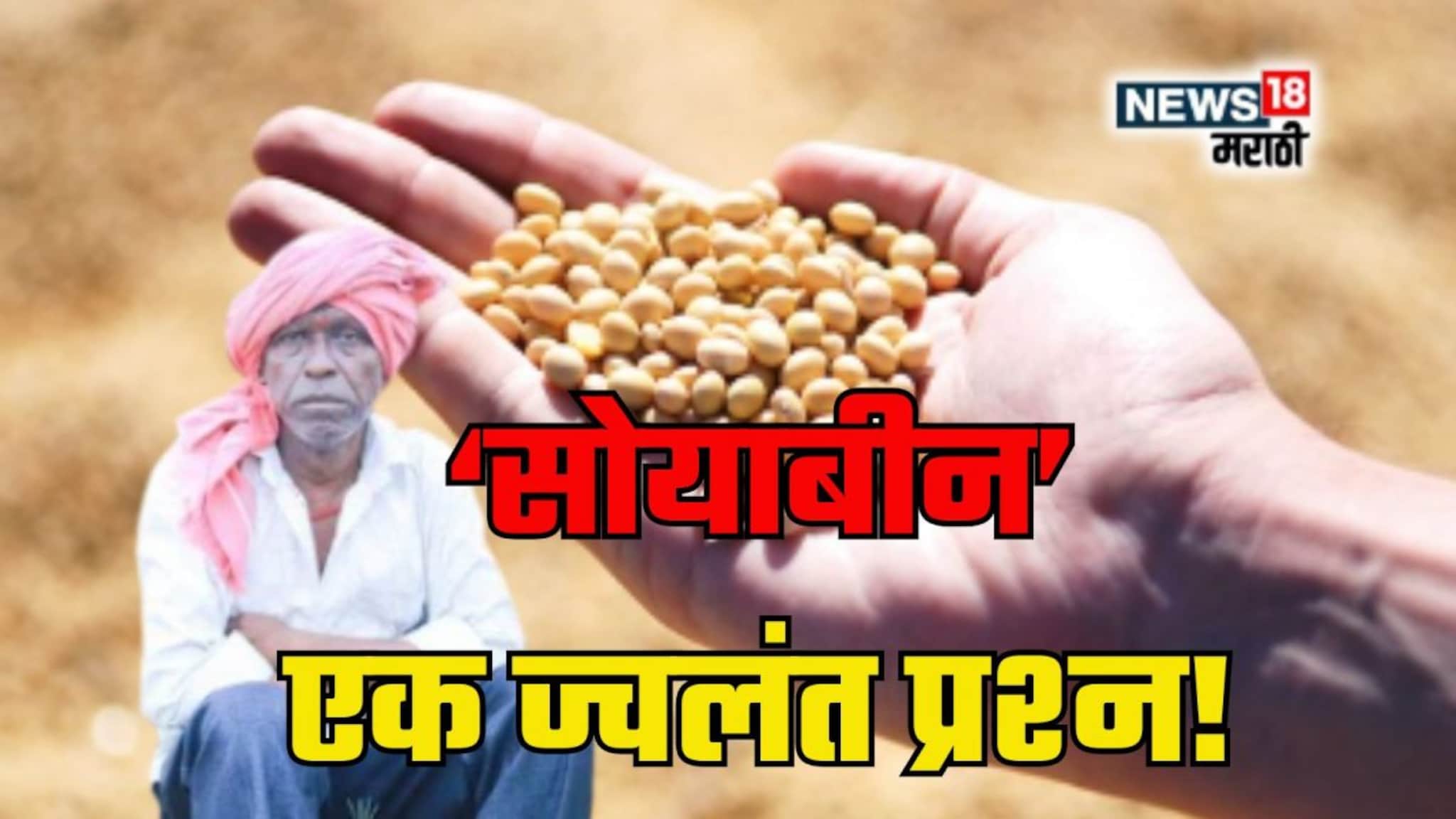Explainer : सोयाबीन दरवाढीचं घोडं नेमकं अडलंय कुठे? सरकारी हस्तक्षेप, आंतरराष्ट्रीय बाजारपेठेतील स्थिती, वाचा सविस्तर