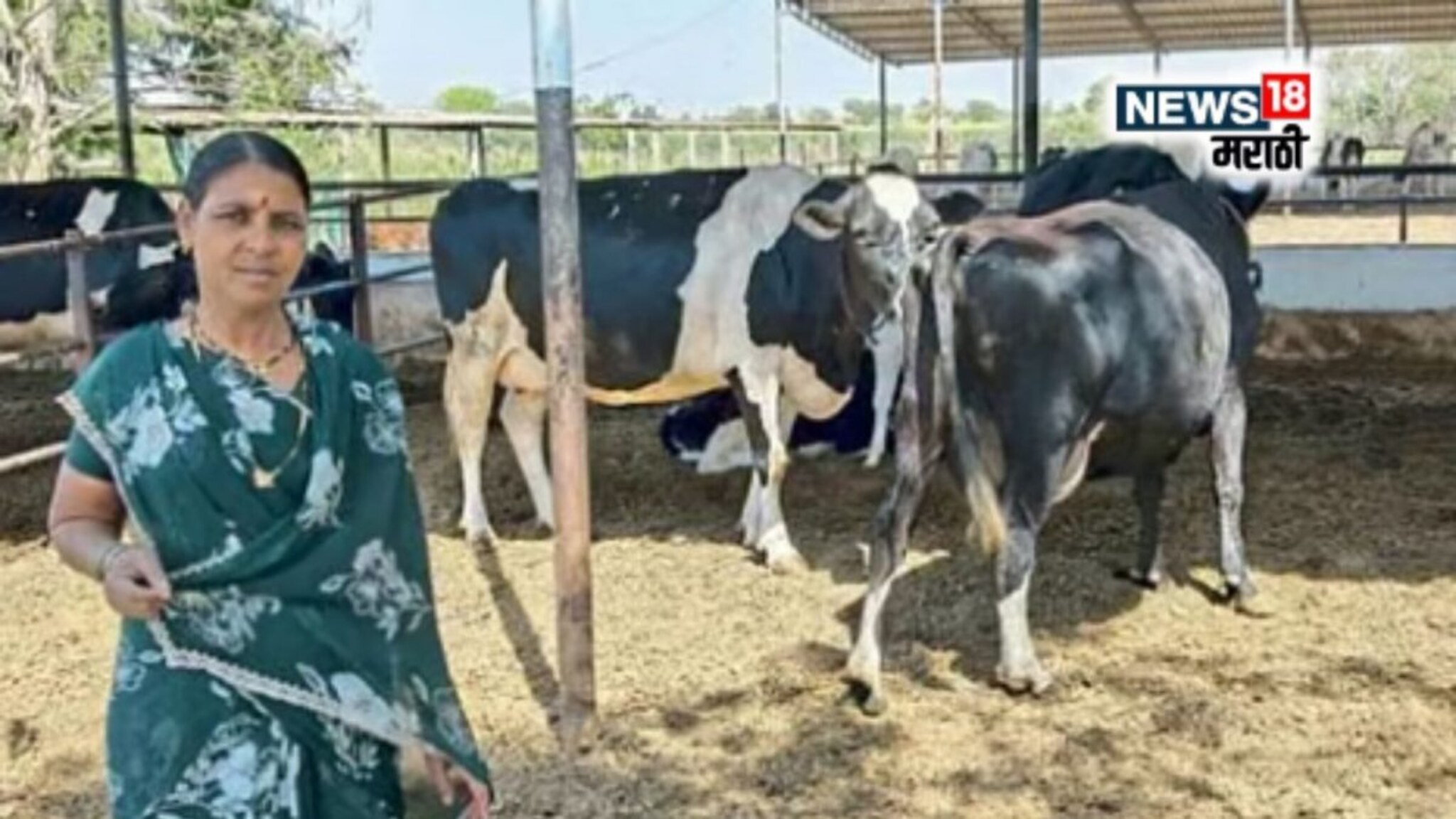 Women Farmer Success Story : ना थकली, ना हारली! एका गाईपासून उभारला दूधव्यवसाय,महिला करतेय उत्तम कमाई