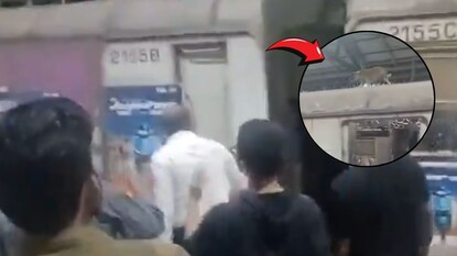 Dog On Mumbai Local Train