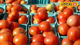 Tomato Rate: टोमॅटो कधी गोड तर कधी आंबट! दर कमी झाल्याने ग्राहक आनंदात तर शेतकरी चिंतेत 