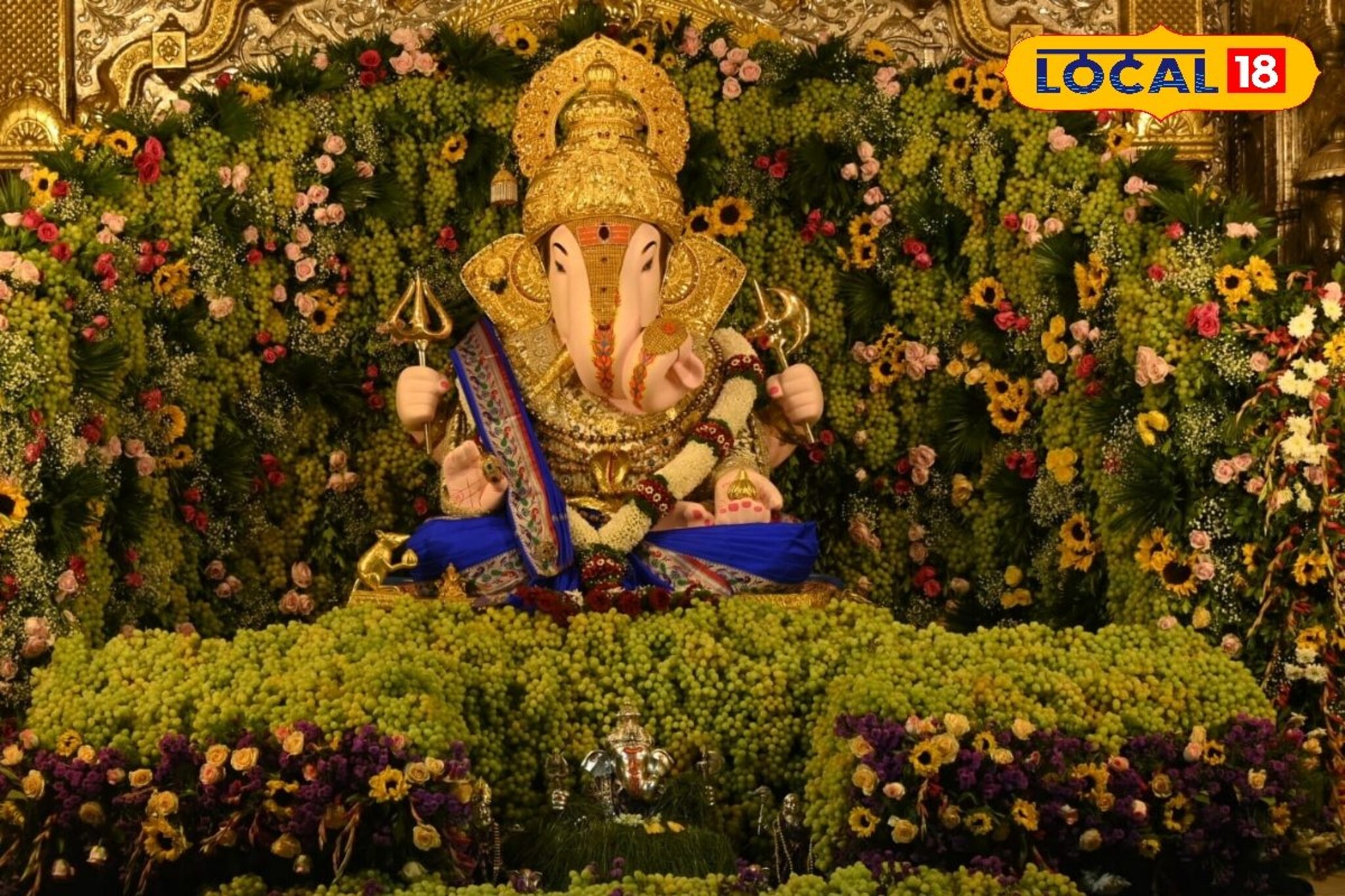 धुलिवंदनला दगडूशेठ गणपतीची खास आरास, 2 हजार किलो द्राक्षांचं काय करणार?
