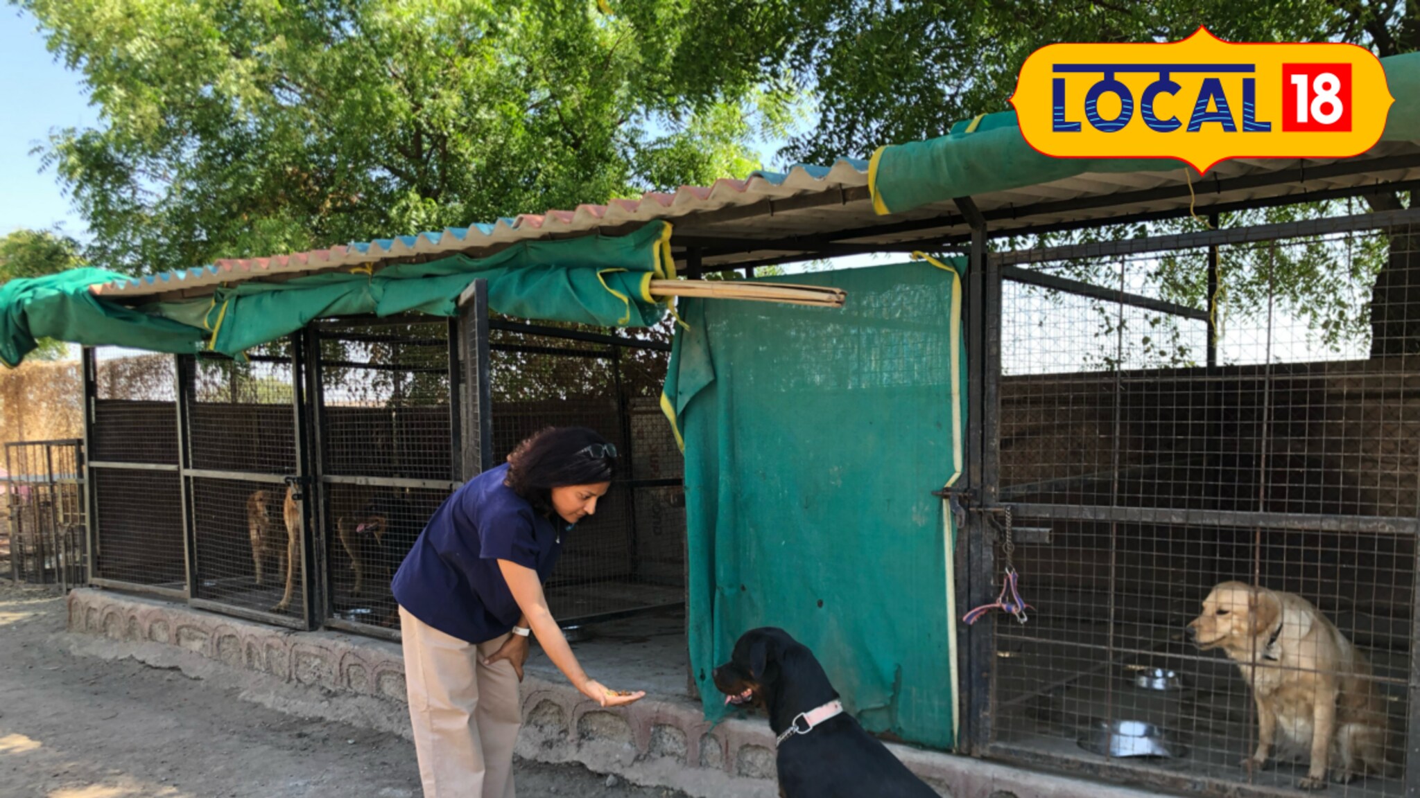 न घाबरता दोघींनीही धाडसाने सुरू केलं डॉग सेंटर, आता महिन्याला इतकी कमाई