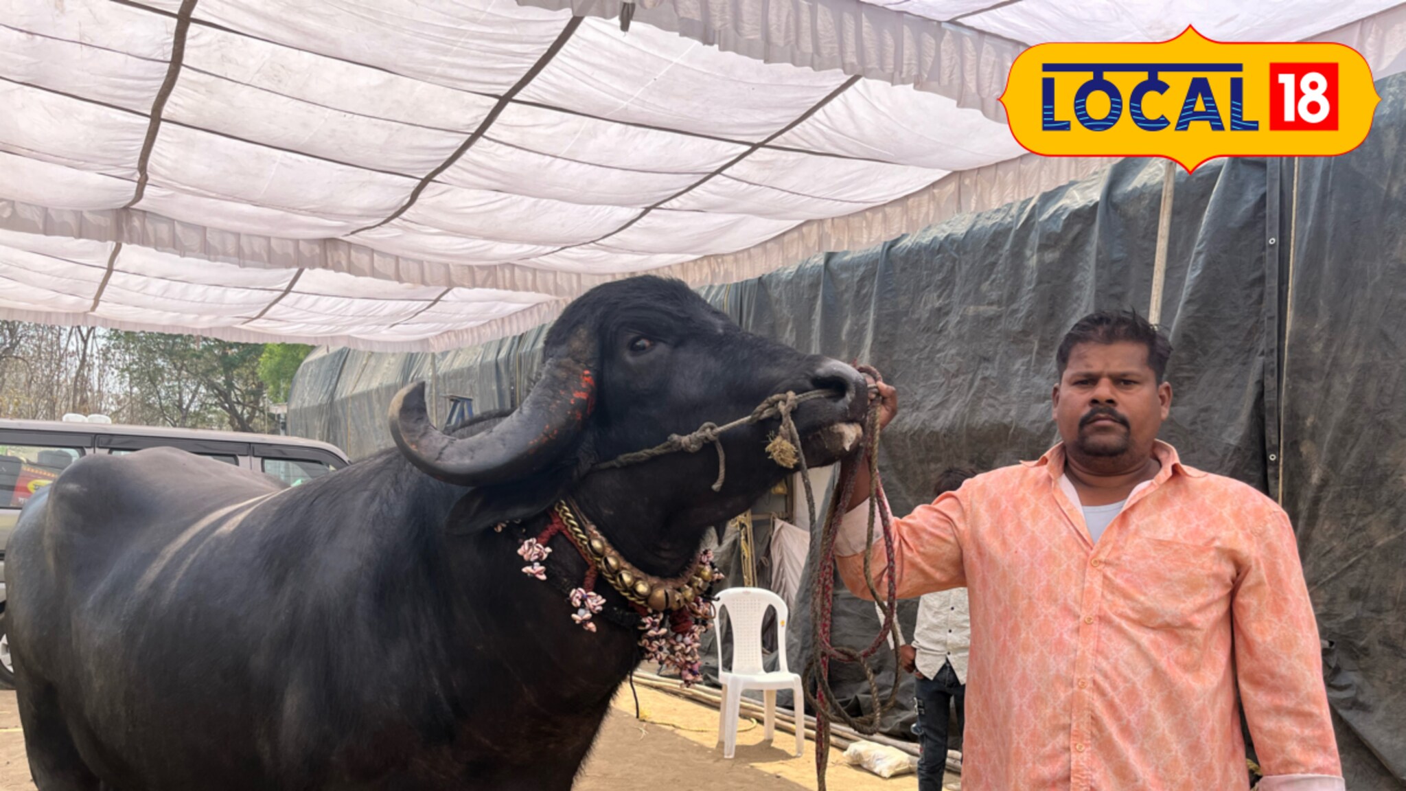 दिवसाला 15 लिटर दूध, 10 किलो ढेप, दीड टनाच्या पवनचा आहार पाहुन व्हाल अवाक्