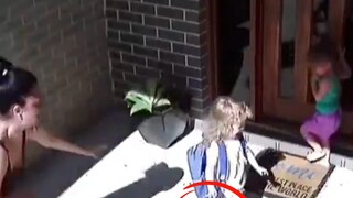 viral video snake attack viral video snake attack