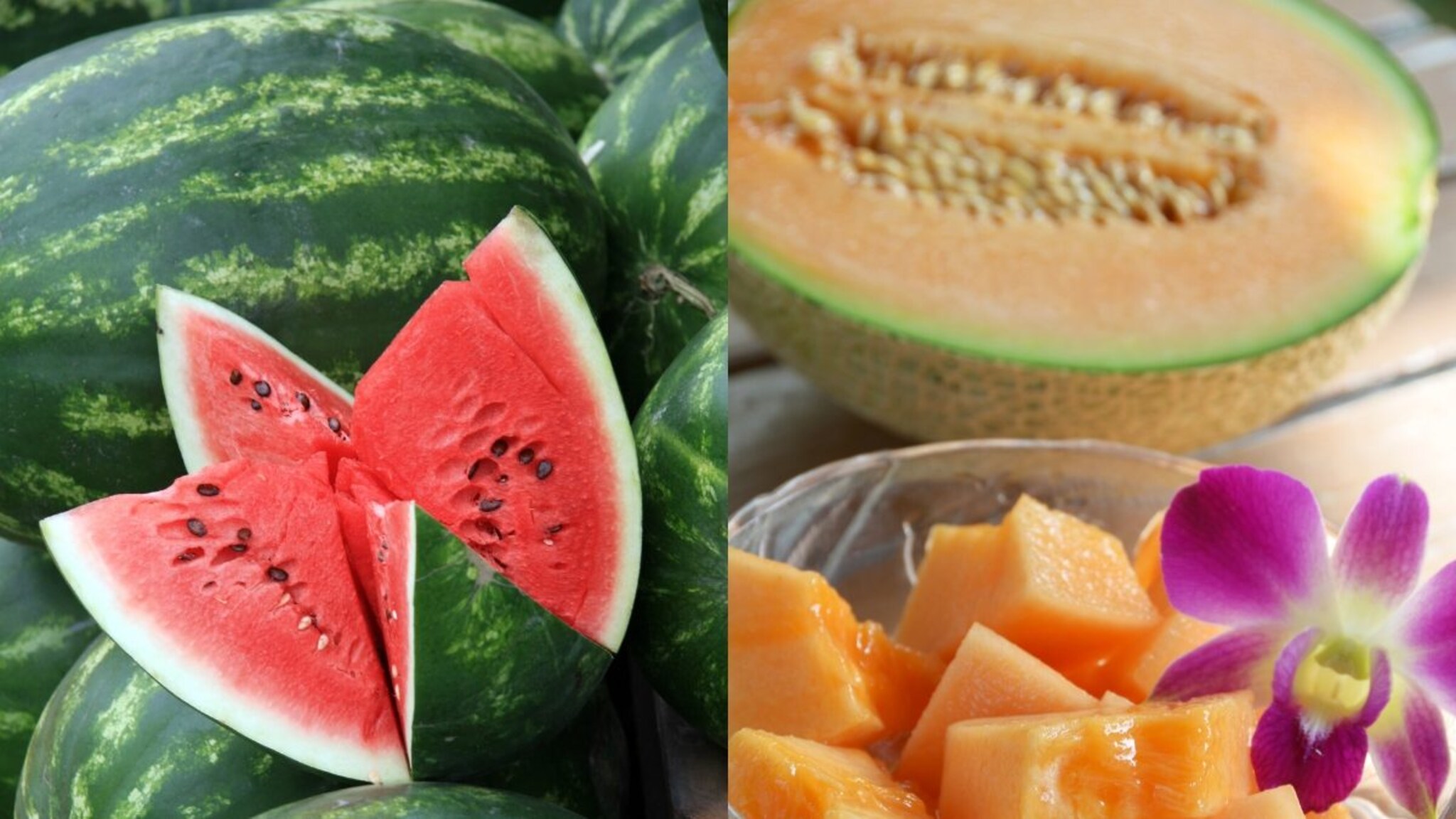 खरबूज की कलिंगड... दोन्हीपैकी काय खाणं चांगलं? वजन कशाने लवकर कमी होतं?