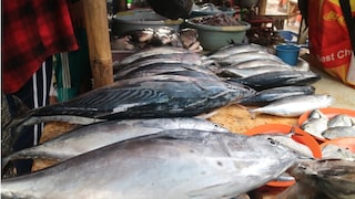 how to identify fresh fish how to identify fresh fish