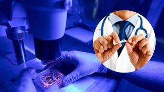 smoking and male fertility smoking and male fertility