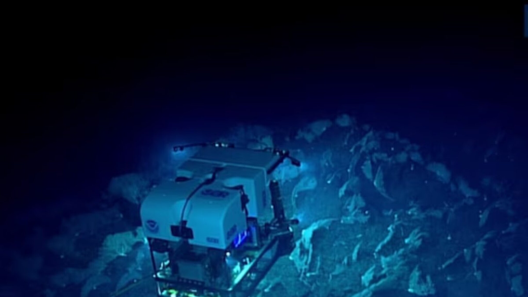 समुद्राच्या तळाशी सापडले नवं जग! 6 km खोल आढळले तब्बल 7500 जीव, वैज्ञानिक झाले चकित