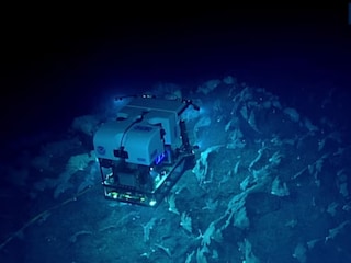 Deep Ocean Deep Ocean