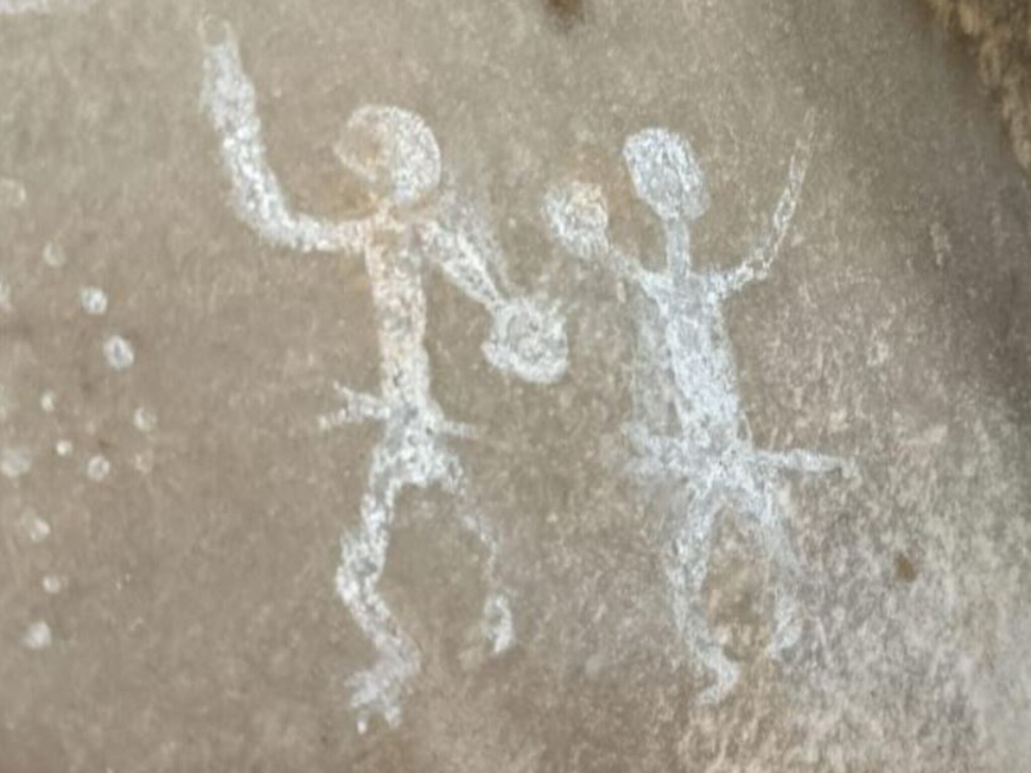 आंध्र प्रदेशच्या जंगलात सापडल्या 3 मोठ्या गुहा, संशोधकांनी चकित होऊन सांगितले की, "त्या रहस्यमयी गुहेत..."