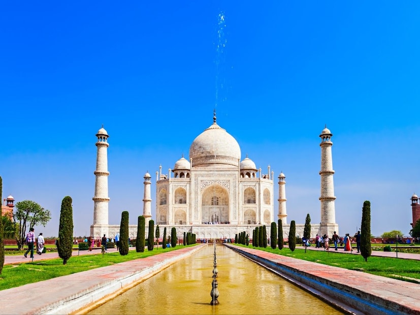 तुळशी हवेतील कार्बन डायऑक्साइड, सल्फर डायऑक्साइड आणि नायट्रोजन ऑक्साईडसारखे हानिकारक वायू देखील काढून टाकते.