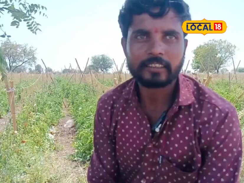 पाण्याची टंचाई असूनही शेतीत यश : बीड जिल्ह्यातील अनेक शेतकरी पाण्याच्या टंचाईमुळे शेती करण्यास असमर्थ ठरतात. मात्र प्रेमदास राठोड यांनी परिस्थितीचा विचार करून त्यावर उपाय शोधला. त्यांनी शेजाऱ्यांकडून पाणी घेऊन आपल्या शेतीसाठी ठिबक सिंचन प्रणालीचा वापर केला. या आधुनिक तंत्रज्ञानाच्या मदतीने त्यांनी शेतीतील पाणीबचत साध्य केली आणि कमी पाण्यावरही उत्तम उत्पादन घेतले.