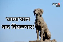 'वाघ्या'वरून वाद चिघळणार? ऐतिहासिक पुराव्यांचा दावा, संभाजीराजेविरोधात नाराजी