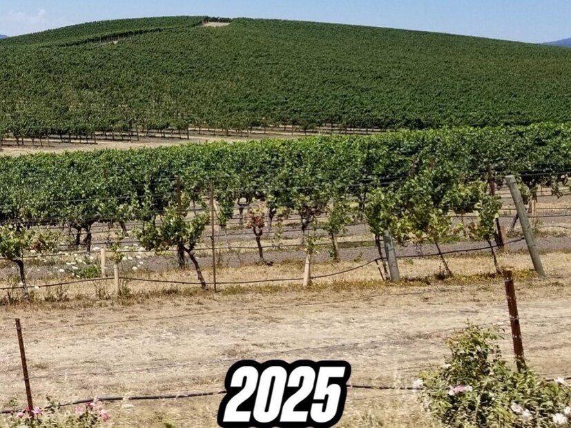 या पोस्टमध्ये तुम्ही 2025 मध्ये हे ठिकाण कसं दिसतं ते पाहू शकता. आता हिरवळ, ढग आणि गवत यांचा रंग पूर्वीसारखा राहिलेला नाही. पण तरीही हे ठिकाण झाडांनी आणि वनस्पतींनी व्यापलेलं आहे.