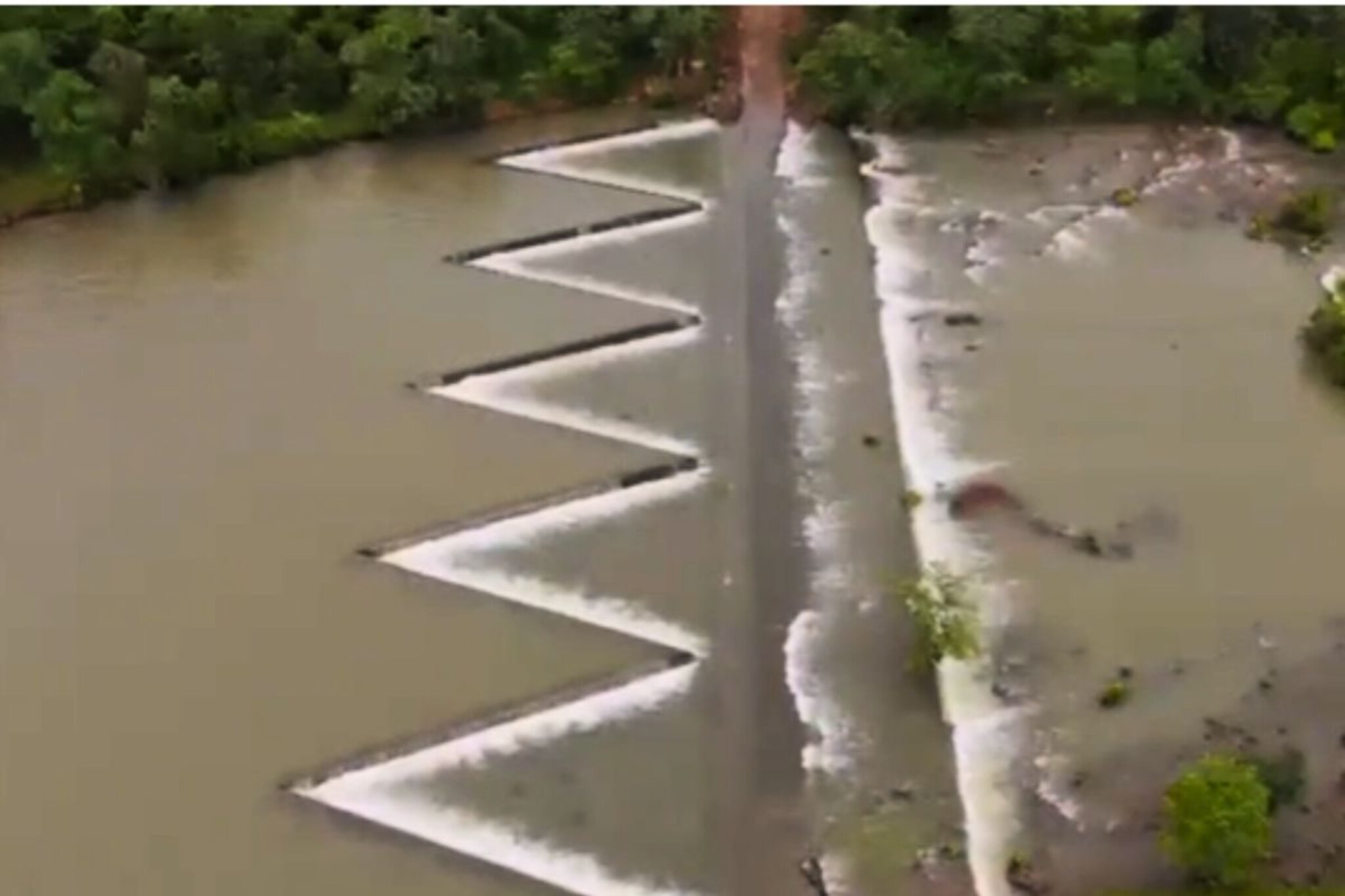 Chandrapur: तलावाच्या परिसरात पार्टी जिवावर बेतली, 5 तरुणांचा बुडून मृत्यू