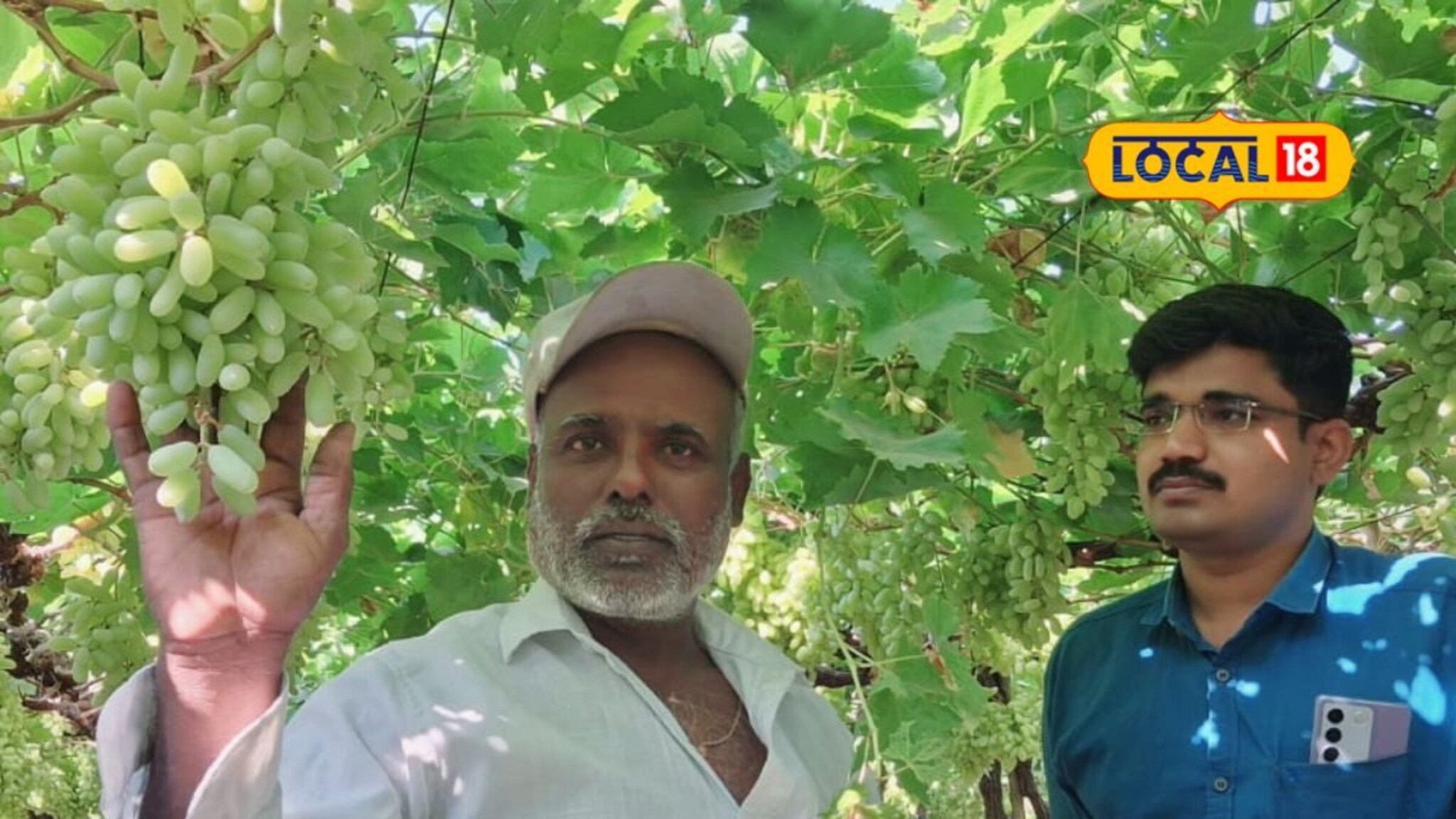 40 वर्ष शेतीनं शिकवलं आता एकरी 10 लाखांचा नफा, पिसाळ कुटुंबाची यशोगाथा!